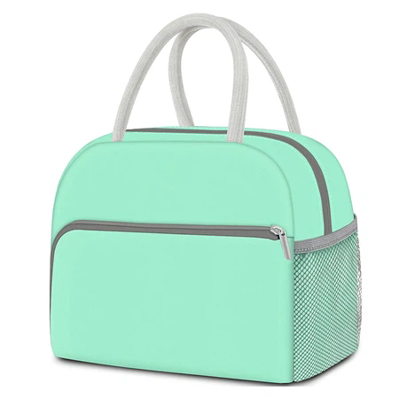 Large Insulated Picnic Tote Bag